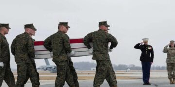 GOP pundit tells Americans opposed to Iran war to ‘calm down’ and ‘enjoy Netflix’