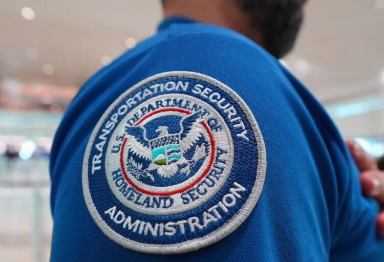 Top airline CEOs plead with Congress to restore DHS funding and pay airport workers. ‘Once again, air travel is the political football’