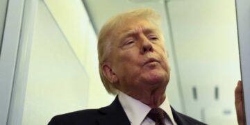 Senior Trump official ‘practically admitted’ Trump has stumbled into trap: report