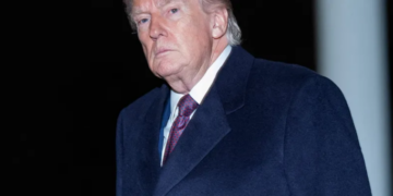 Trump’s ‘desperation’ shows as he spends weekend ‘pleading’ for help: MS NOW experts