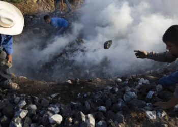 America’s drinking habits are destroying Mexico’s environment: ‘It will take a long time for the ecosystem to recover’