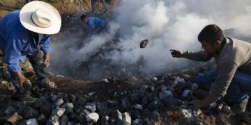 America’s drinking habits are destroying Mexico’s environment: ‘It will take a long time for the ecosystem to recover’