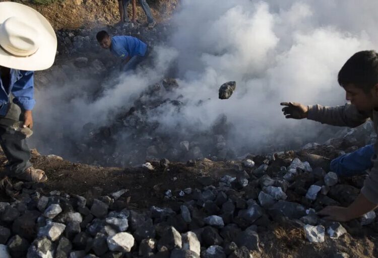 America’s drinking habits are destroying Mexico’s environment: ‘It will take a long time for the ecosystem to recover’