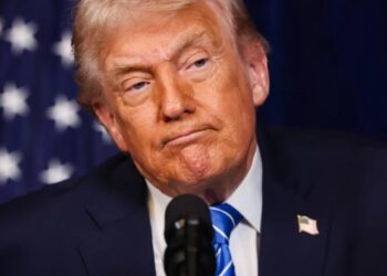 ‘Blackmail is also not what I wish for’: America’s allies are ghosting Trump on Strait of Hormuz