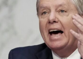 ‘Lindsey Graham is going down’: Charlie Kirk Show declares war on ‘Lady Graham’