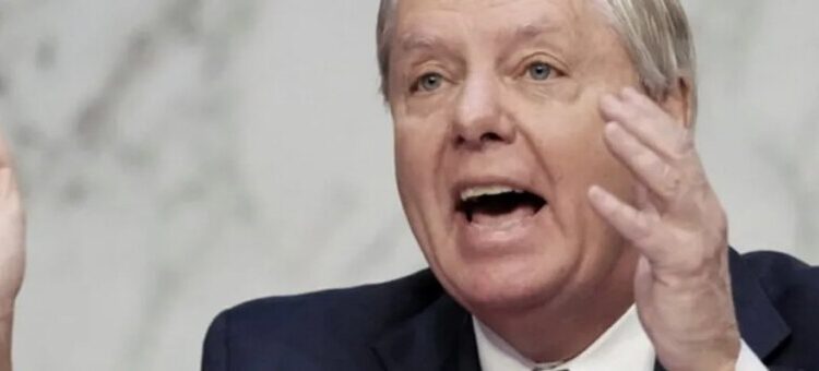 ‘Lindsey Graham is going down’: Charlie Kirk Show declares war on ‘Lady Graham’