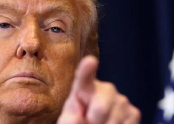 Trump appears unaware governors don’t hand down prison sentences in wild Tina Peters post