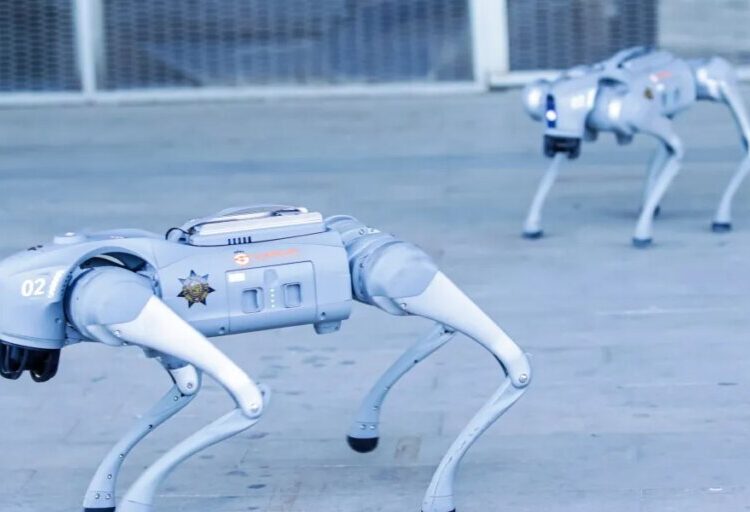 Robot dogs priced at $300,000 a piece are now guarding some of the country’s biggest data centers