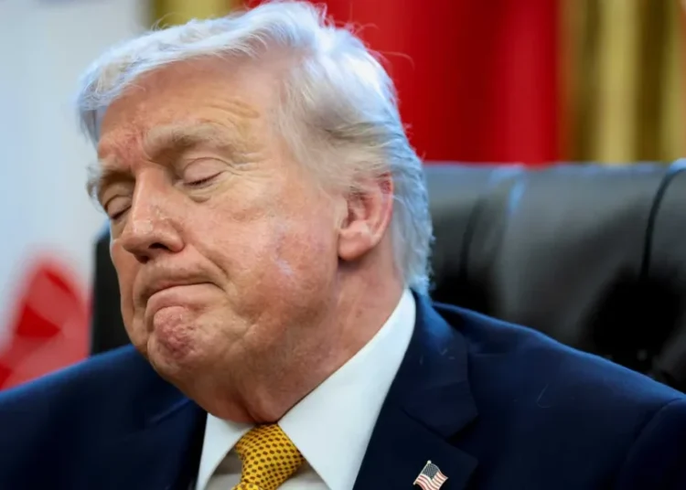 ‘It’s not crazy’: CNN legal expert floored as Trump’s pardon may blow up pipe bomb case