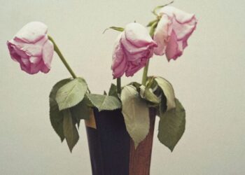 The Horseshoe Theory of Polyamory