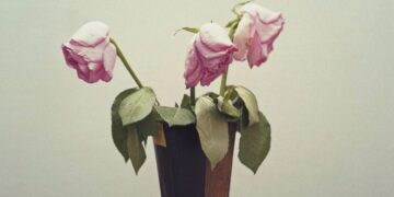 The Horseshoe Theory of Polyamory