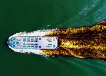 Luxury Cruise Descends Into a Diarrhea Nightmare