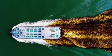 Luxury Cruise Descends Into a Diarrhea Nightmare