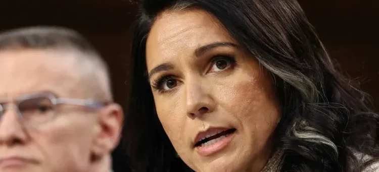 ‘What?’ Nicolle Wallace blasts Tulsi Gabbard over curious edit to her own prepared remarks