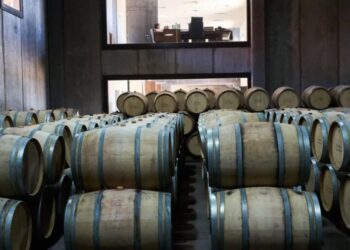 Argentines once drank 90 liters of wine a year. Now they’re down to 15 — and 1,100 vineyards have already closed