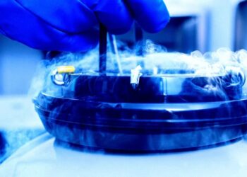 Scientists Bring Mouse Brains Back to Life After “Cryosleep” Deep Freeze