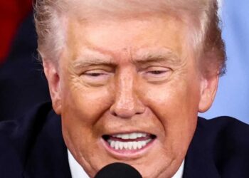 Trump vows to make good on imminent ICE threat: ‘Tom Homan is in charge!’