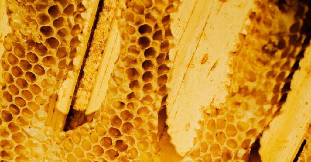 A Friend Gifts Me a Paper Bag of Honeycomb