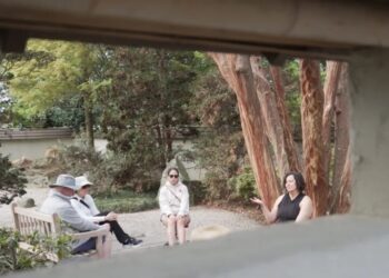 Forest ‘bathing’ can reduce stress, improve mood, lower blood pressure and boost the immune system. Here’s how it’s done