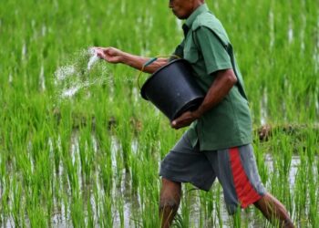 The Iran war cripples Asia’s supplies of fertilizer and helium, threatening farms and chipmakers alike