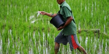 The Iran war cripples Asia’s supplies of fertilizer and helium, threatening farms and chipmakers alike