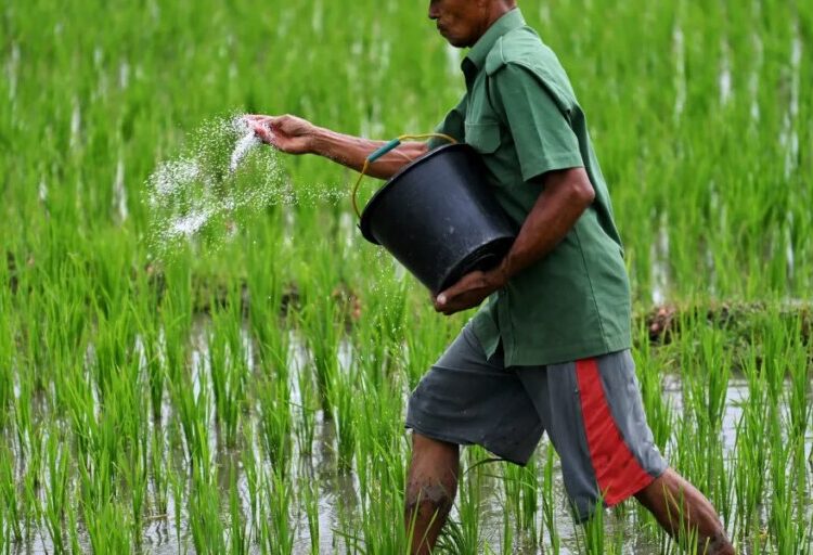 The Iran war cripples Asia’s supplies of fertilizer and helium, threatening farms and chipmakers alike