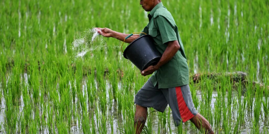 The Iran war cripples Asia’s supplies of fertilizer and helium, threatening farms and chipmakers alike