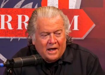 Steve Bannon admits Trump sent ICE to airports as ‘test run’ for midterms