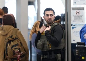 Largest federal workers union warns ICE agents are not trained to replace TSA and putting them in airports ‘does not fill a gap. It creates one’
