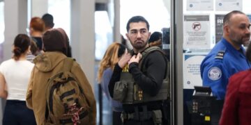 Largest federal workers union warns ICE agents are not trained to replace TSA and putting them in airports ‘does not fill a gap. It creates one’