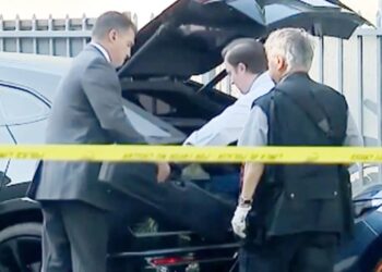 Cops pull rifle from Lamborghini and woman is arrested after woman and dog found shot to death in suspected lesbian love affair gone wrong in posh Beverly Grove