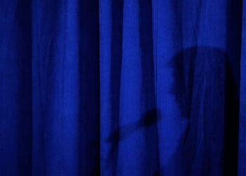 Critics Have a New Way to Describe the Trump Administration