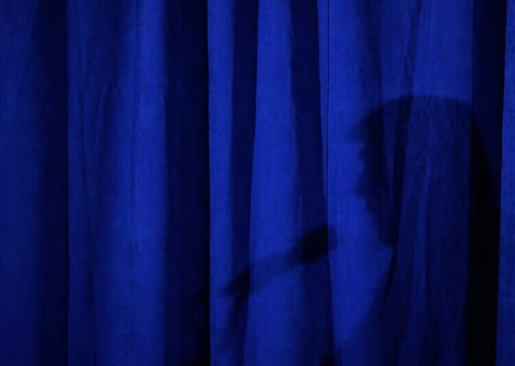 Critics Have a New Way to Describe the Trump Administration