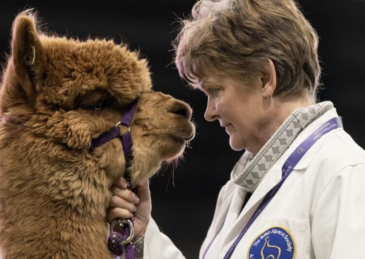 Photos of the Week: Fallas Festival, Butterfly Gathering, Beach Violin