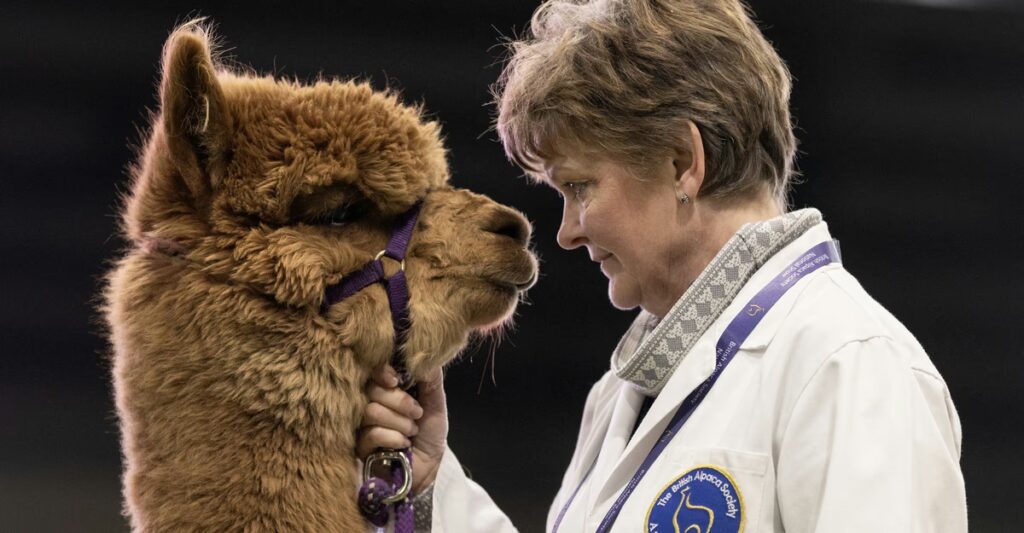 Photos of the Week: Fallas Festival, Butterfly Gathering, Beach Violin