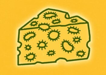 Food Safety in America Just Hit a New Low