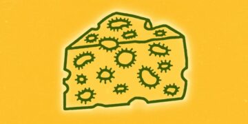 Food Safety in America Just Hit a New Low