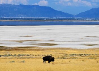 Scientists Detect Something Bizarre in Subterranean Structures Under the Great Salt Lake