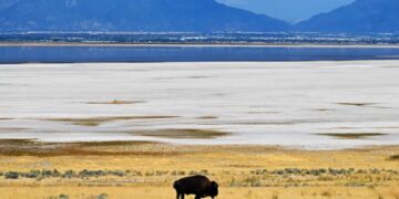 Scientists Detect Something Bizarre in Subterranean Structures Under the Great Salt Lake