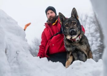 What avalanche safety training can teach corporate boards about bad decisions