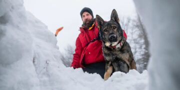 What avalanche safety training can teach corporate boards about bad decisions