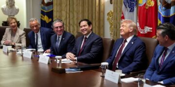 Dems crack GOP midterm strategy with telling appearance from Trump ally: analyst