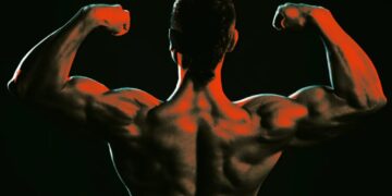 Scientists Intrigued by Microbe That That Makes Mice Swole