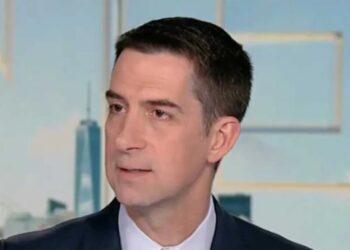 Tom Cotton rants Dems want to sic their ‘street militias’ on ICE wives and kids