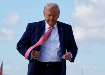 ‘Unreal’: Trump directly called out for alleged market manipulation by unlikely source