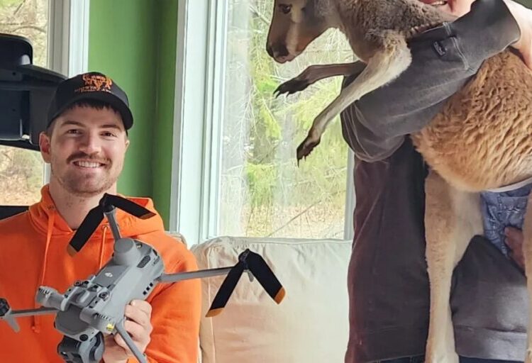 Kangaroo escapes from Wisconsin petting zoo by scaling 8-foot fence, hops through town for 3 days