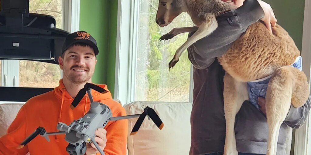 Kangaroo escapes from Wisconsin petting zoo by scaling 8-foot fence, hops through town for 3 days