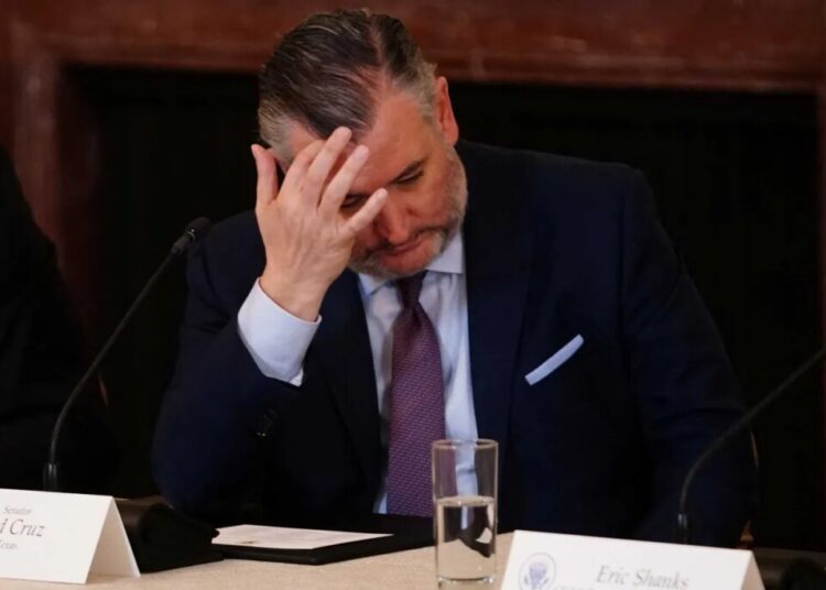 ‘It outraged us’: TMZ sets sights on lawmakers enjoying ‘Spring Break’ amid shutdown chaos