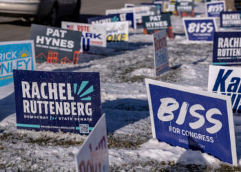 Illinois Primaries Flooded With Money From AIPAC and Cryptocurrency