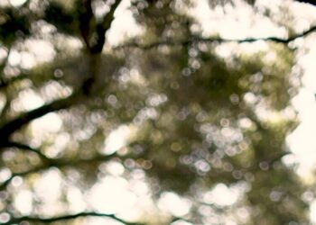 Sorry, Mom. You’re Chatting With an A.I. Agent, Not Your Son.